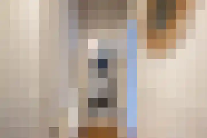 Hoornsediep 79 Groningen thumbnail 23