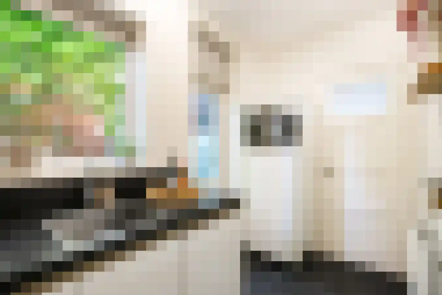 Hoornsediep 81 a Groningen thumbnail 19