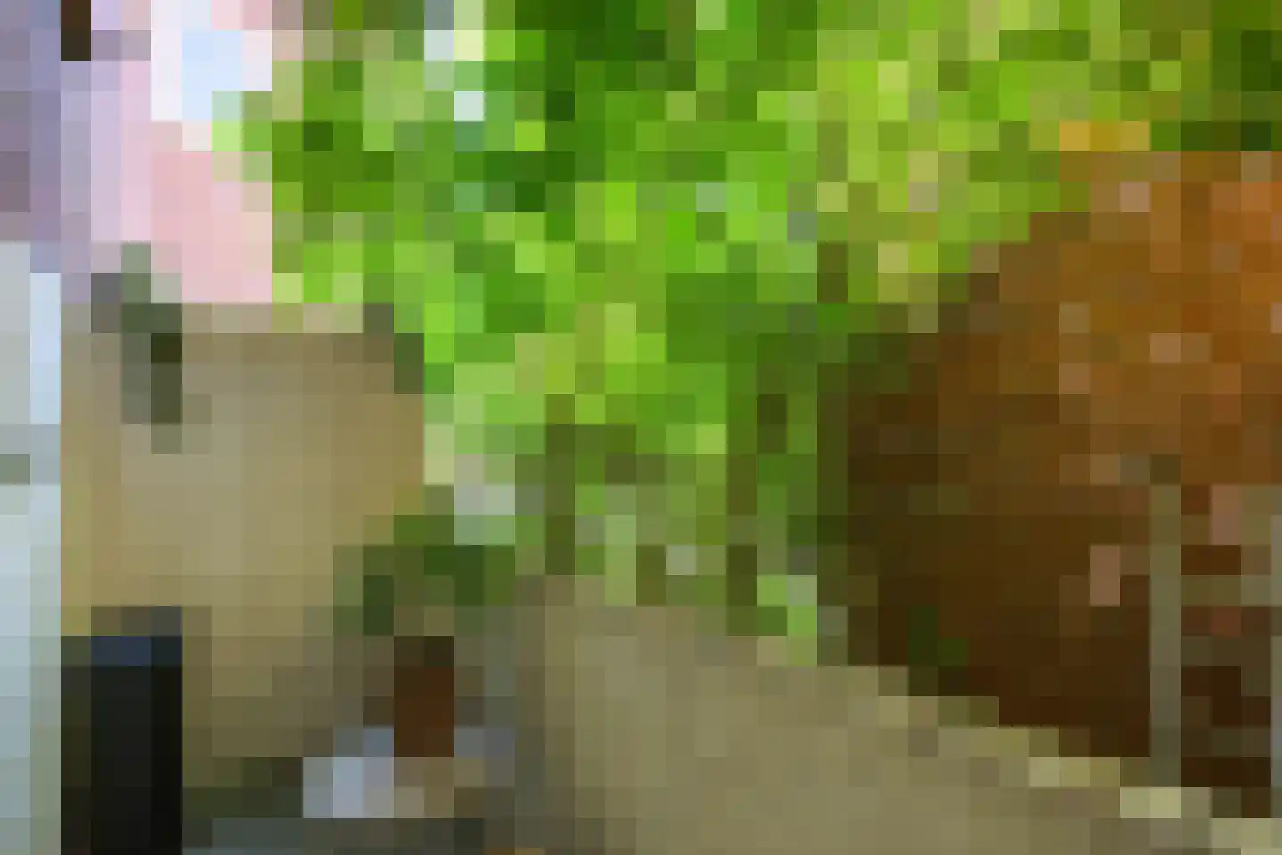 Hoornsediep 81 a Groningen thumbnail 20