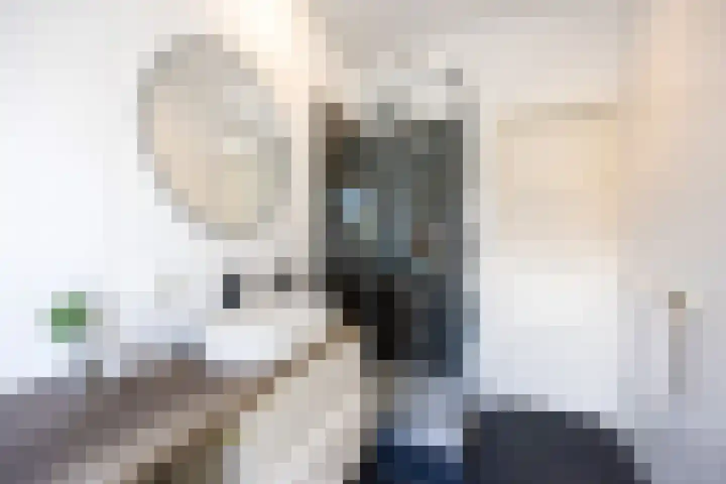 Hoornsediep 81 a Groningen thumbnail 26