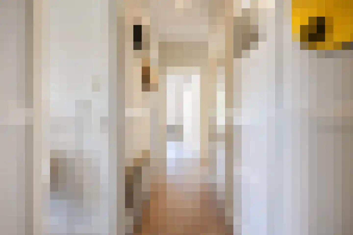 Hoornsediep 81 a Groningen thumbnail 6
