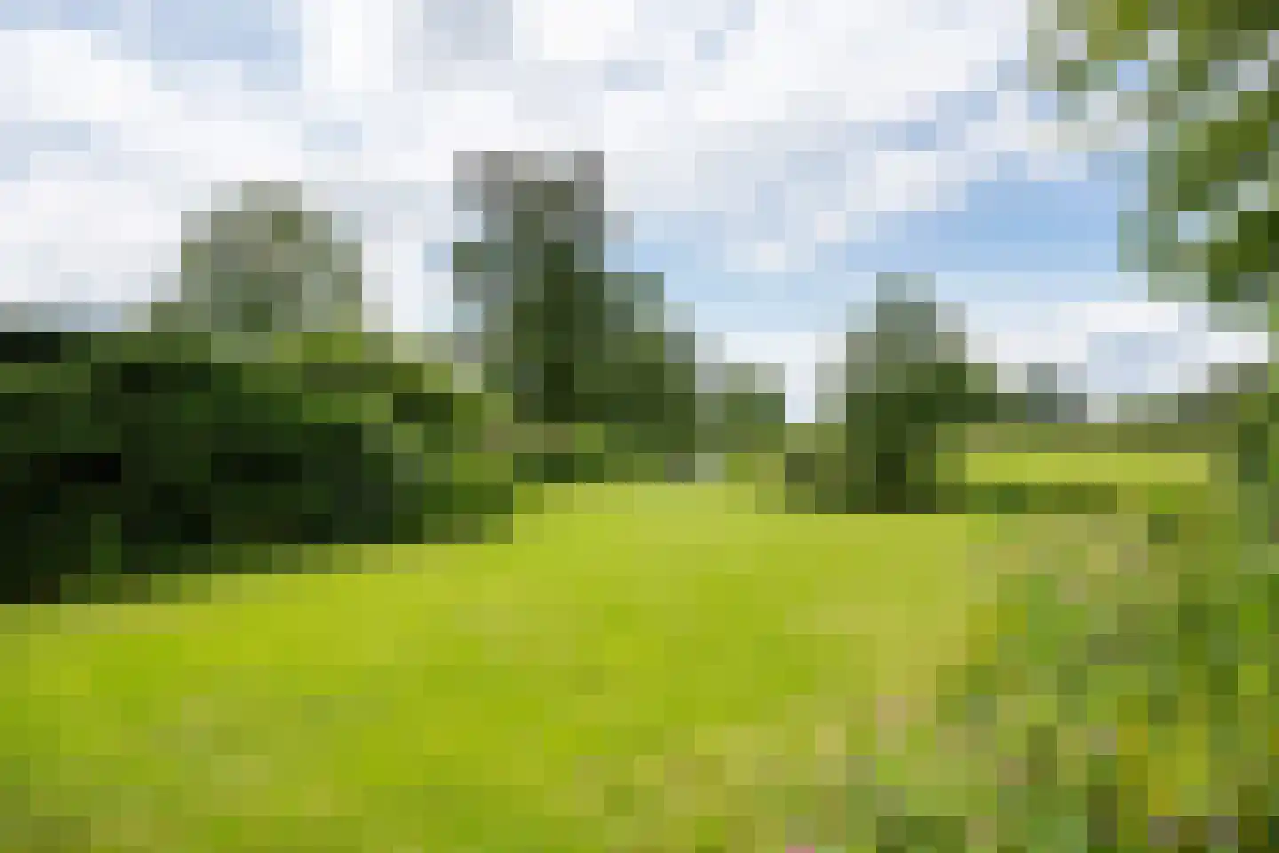 Hoornsedijk 16 Haren Gn thumbnail 38