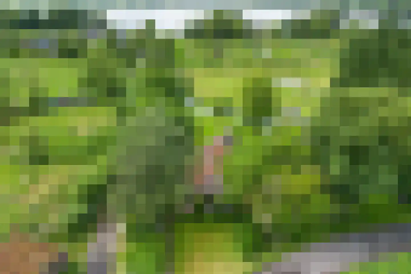 Hoornsedijk 16 Haren Gn thumbnail 4