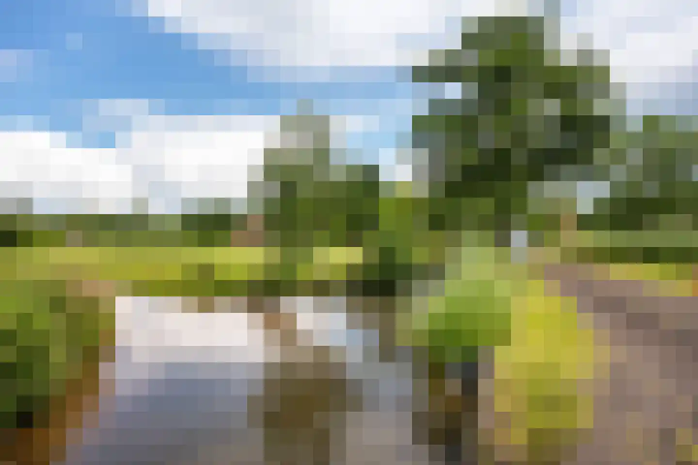 Hoornsedijk 16 Haren Gn thumbnail 43