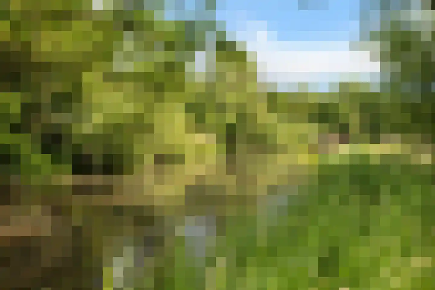 Hoornsedijk 16 Haren Gn thumbnail 47