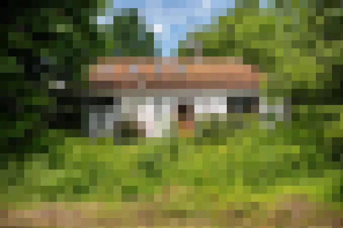 Hoornsedijk 16 Haren Gn thumbnail 6