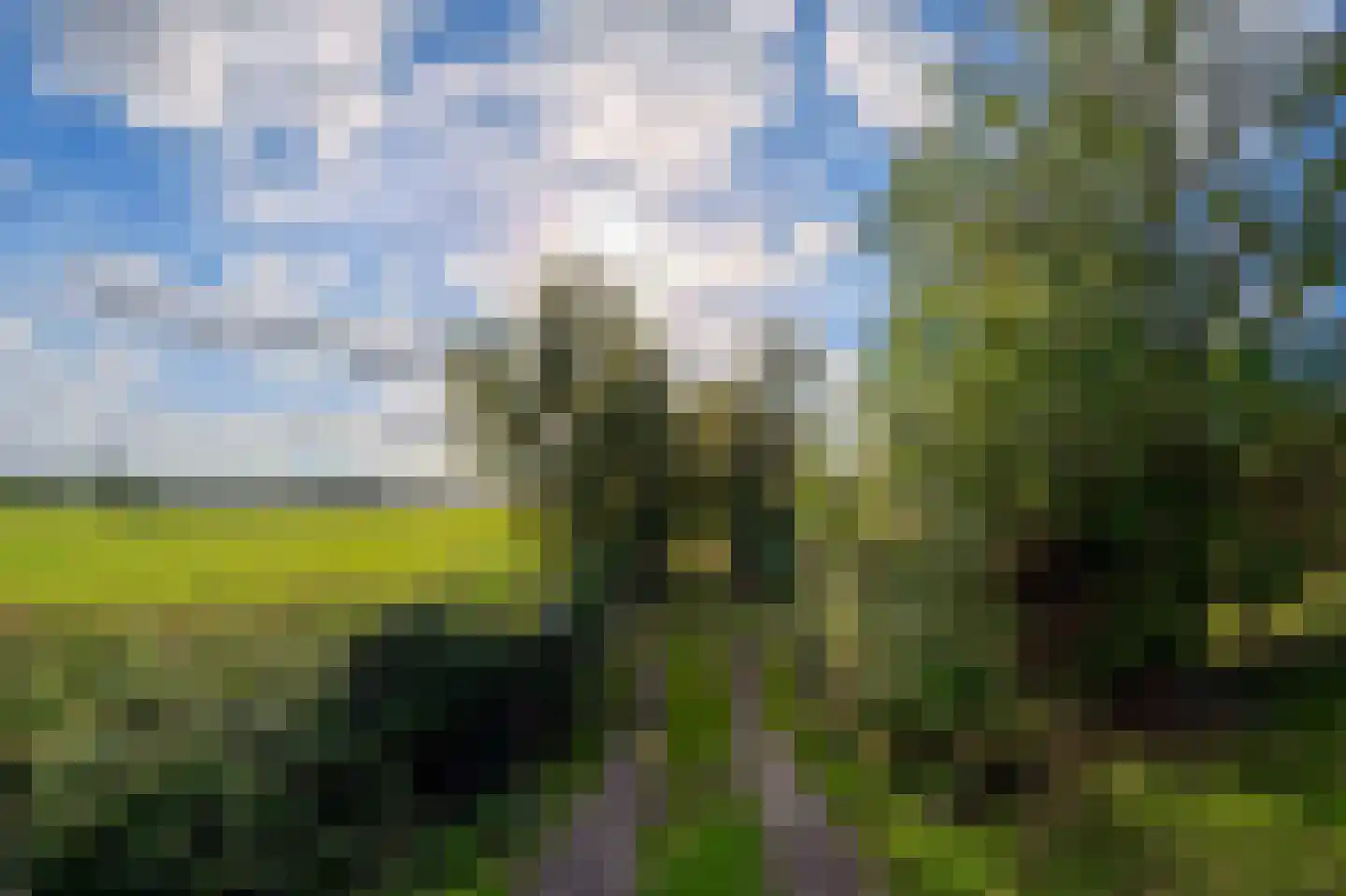 Hoornsedijk 17 a 2 Haren Gn thumbnail 12