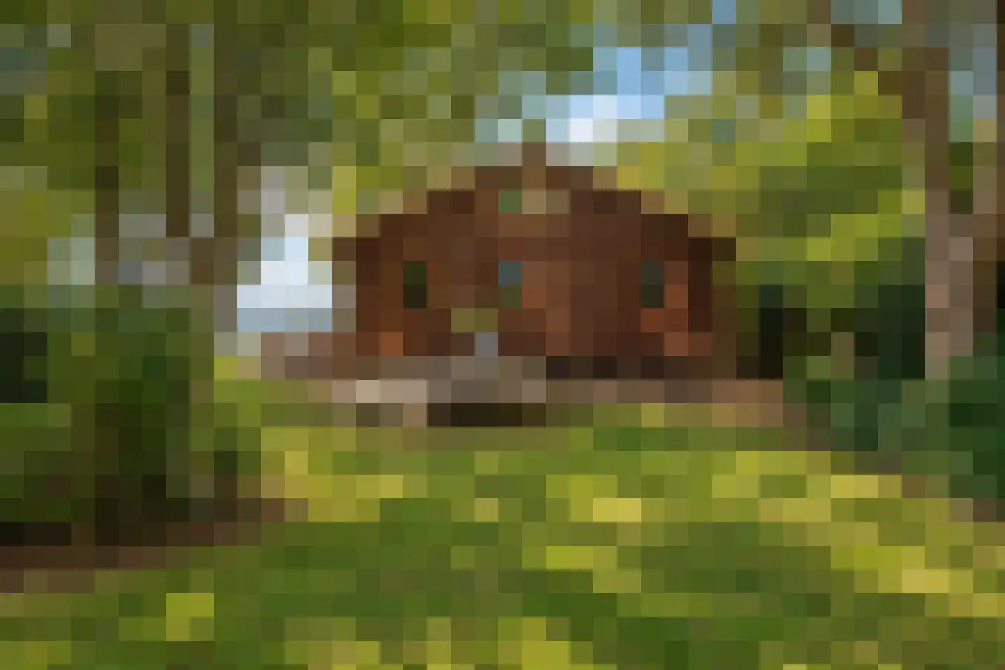 Hoornsedijk 17 a 2 Haren Gn thumbnail 15