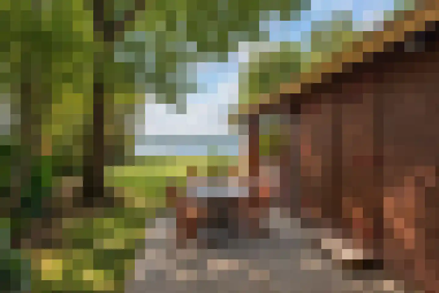 Hoornsedijk 17 a 2 Haren Gn thumbnail 16