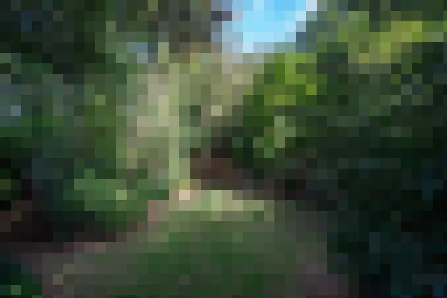 Hoornsedijk 17 a 2 Haren Gn thumbnail 29