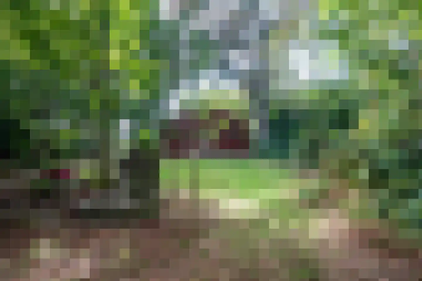 Hoornsedijk 17 a 2 Haren Gn thumbnail 33