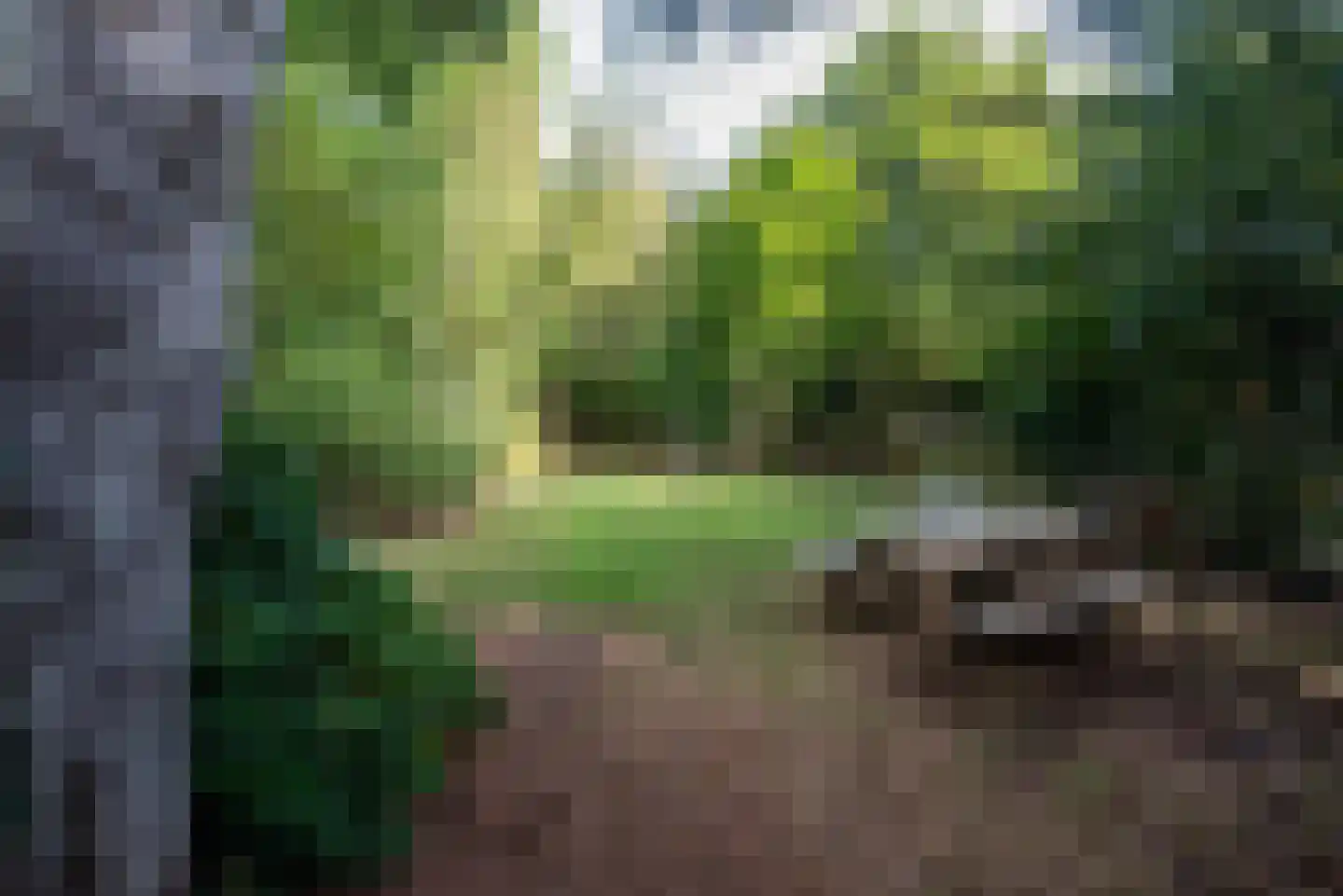 Hoornsedijk 17 a 2 Haren Gn thumbnail 34