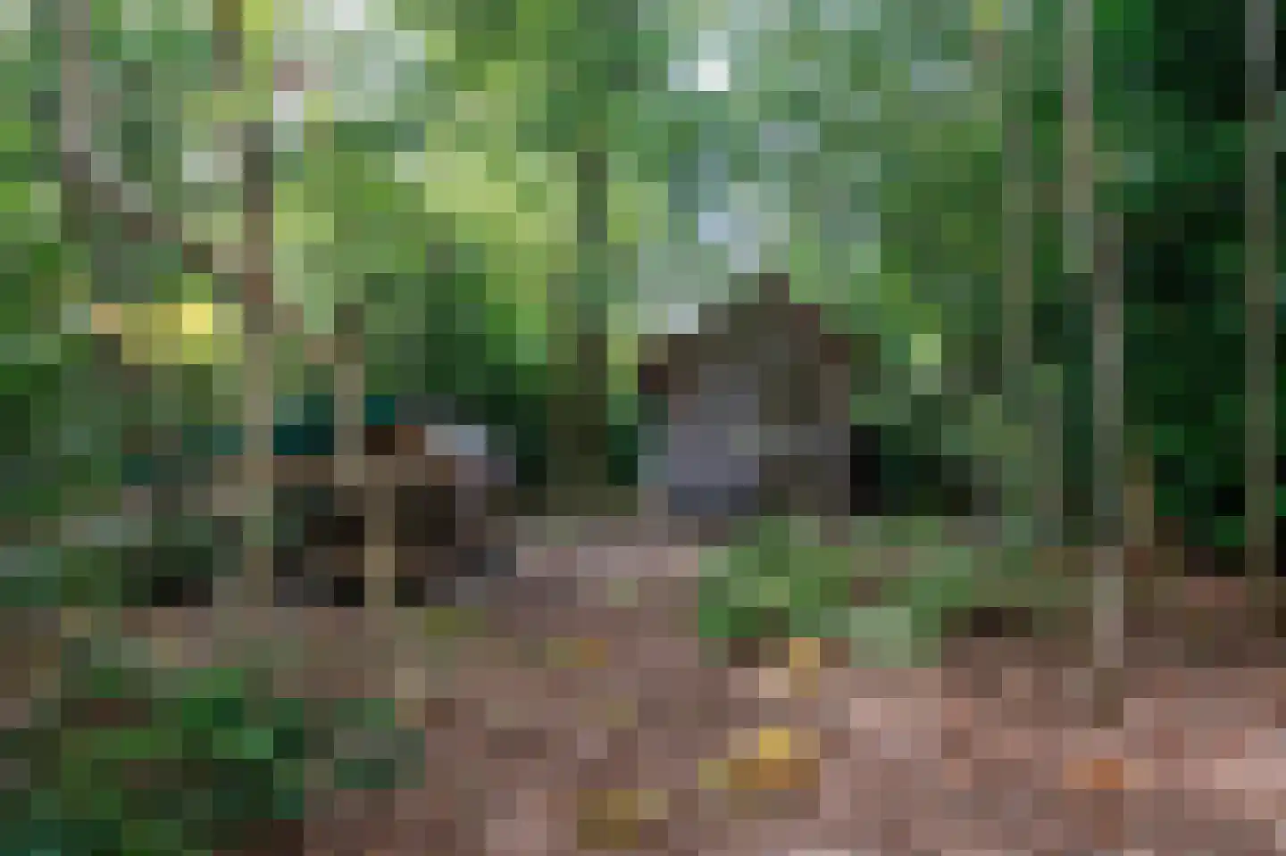 Hoornsedijk 17 a 2 Haren Gn thumbnail 35