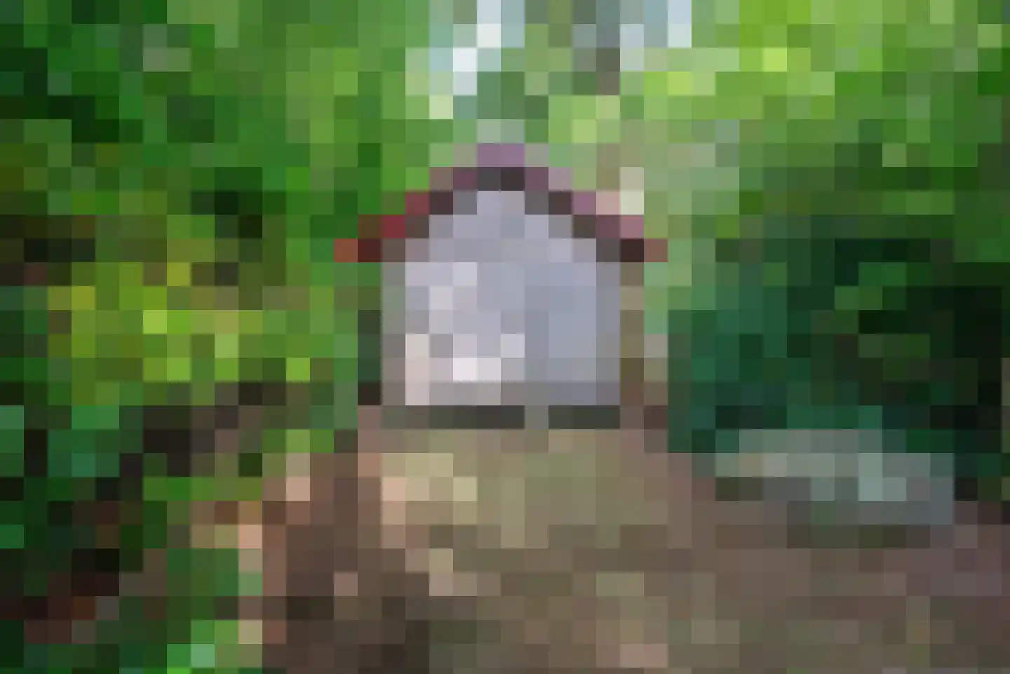 Hoornsedijk 17 a 2 Haren Gn thumbnail 36