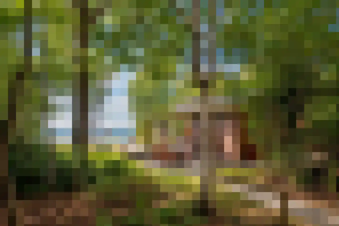 Hoornsedijk 17 a 2 Haren Gn thumbnail 38
