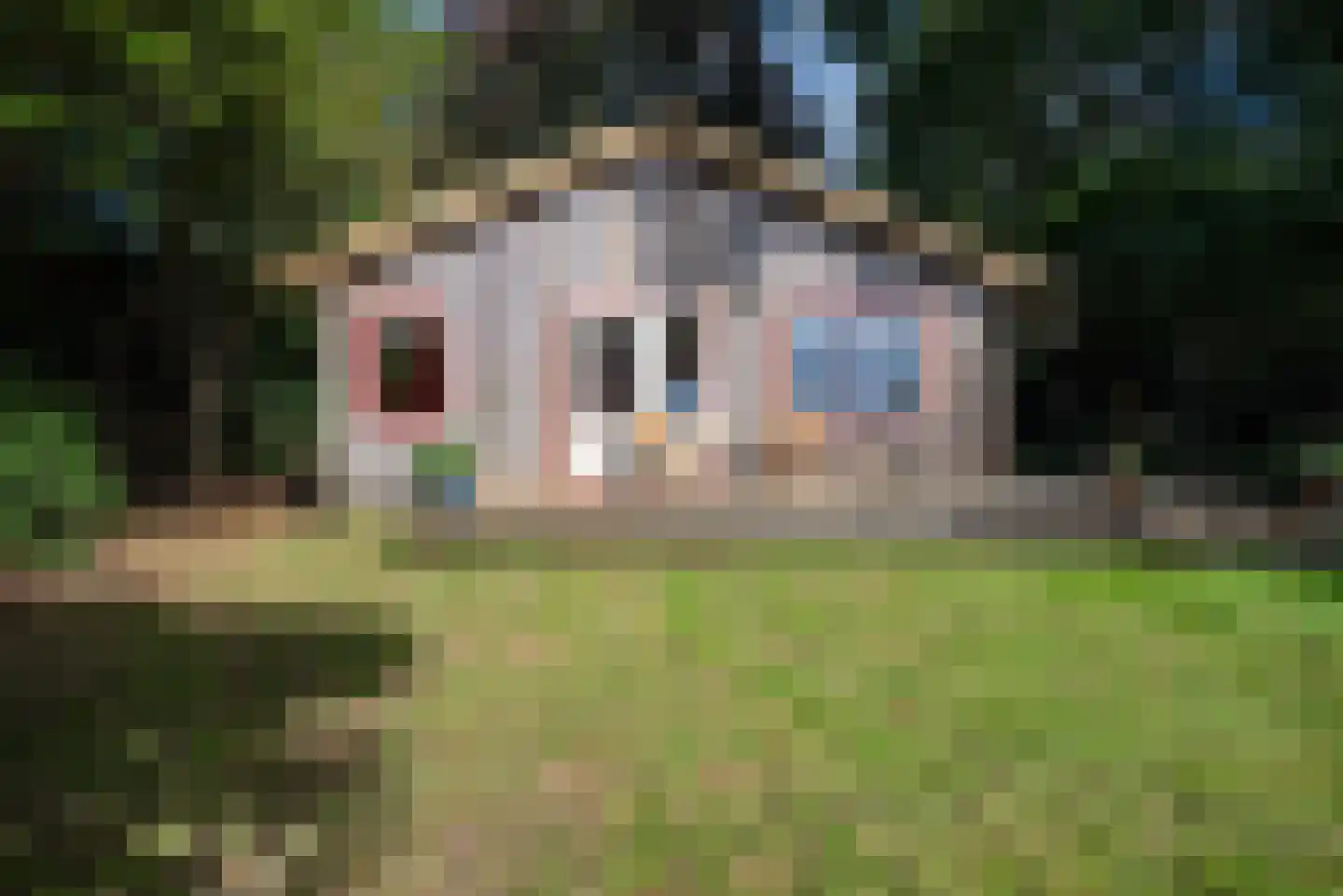Hoornsedijk 17 a 2 Haren Gn thumbnail 41