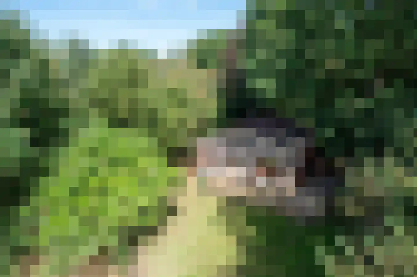 Hoornsedijk 17 a 2 Haren Gn thumbnail 43