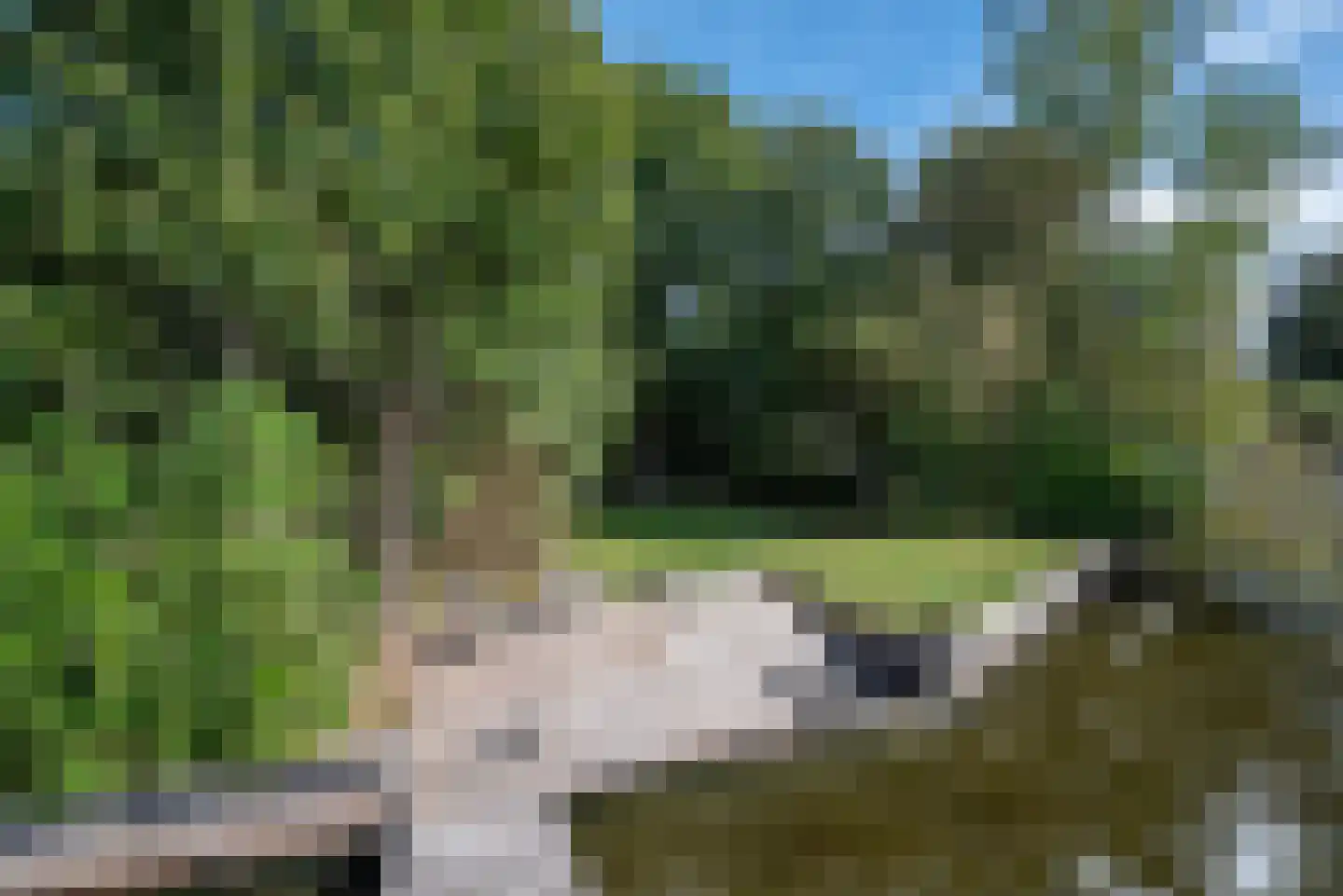 Hoornsedijk 17 a 2 Haren Gn thumbnail 44