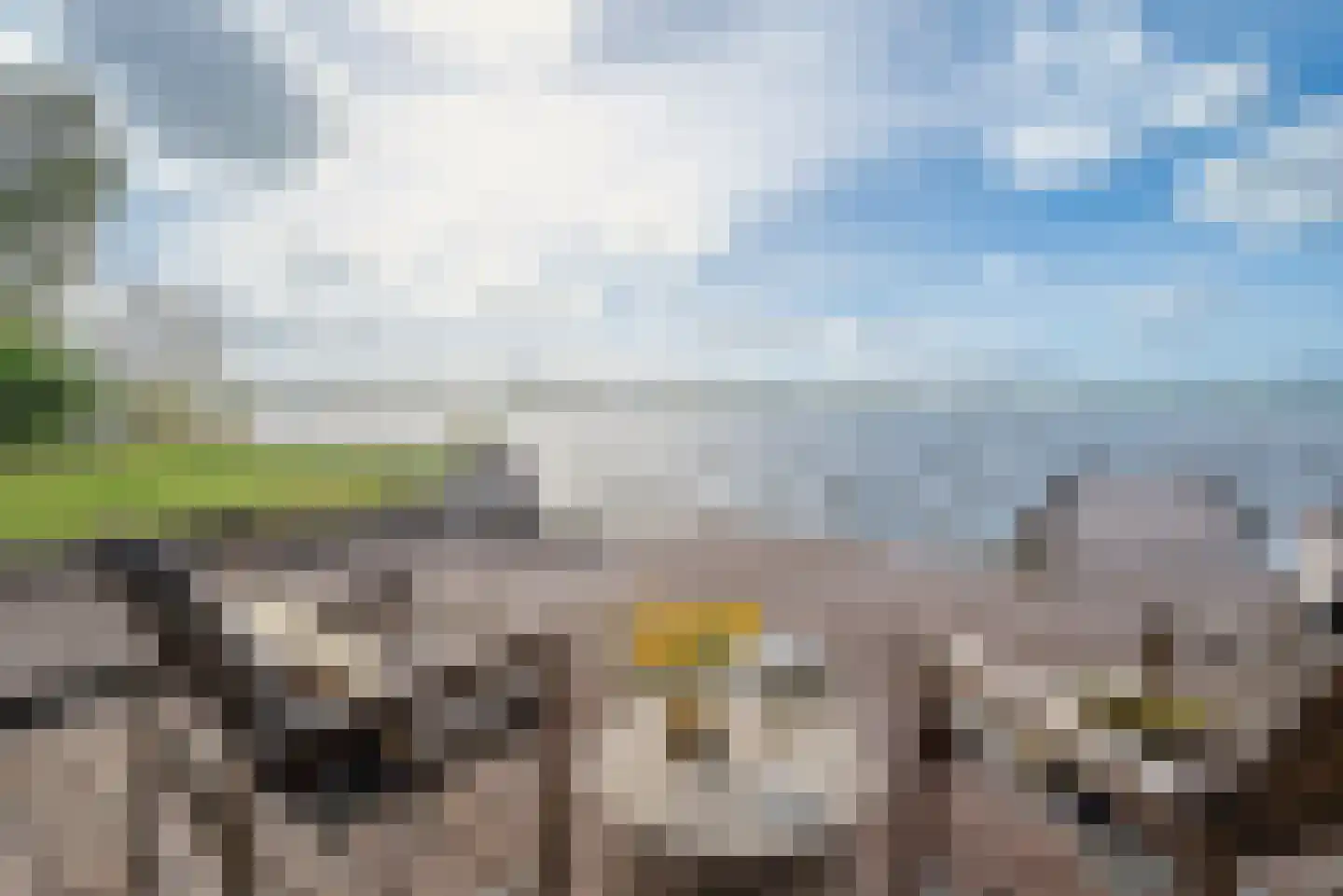 Hoornsedijk 17 a 2 Haren Gn thumbnail 7