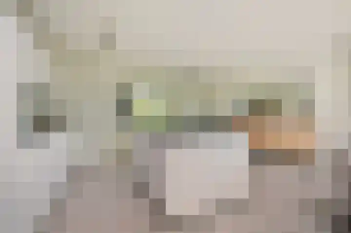 Hoornsehop 13 Huizen thumbnail 10