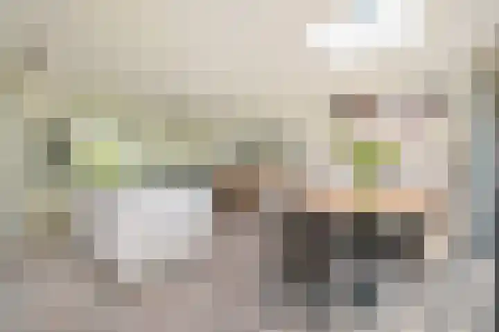 Hoornsehop 13 Huizen thumbnail 11
