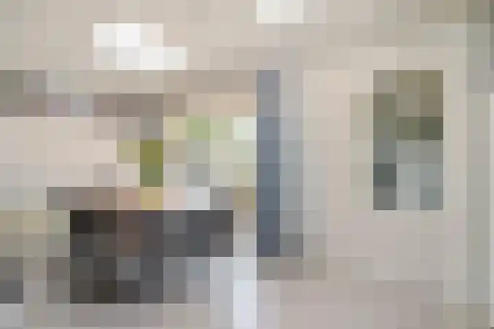 Hoornsehop 13 Huizen thumbnail 12