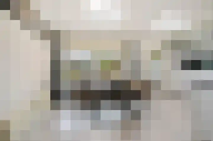 Hoornsehop 13 Huizen thumbnail 13