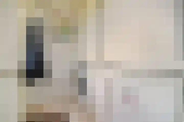 Hoornsehop 13 Huizen thumbnail 14