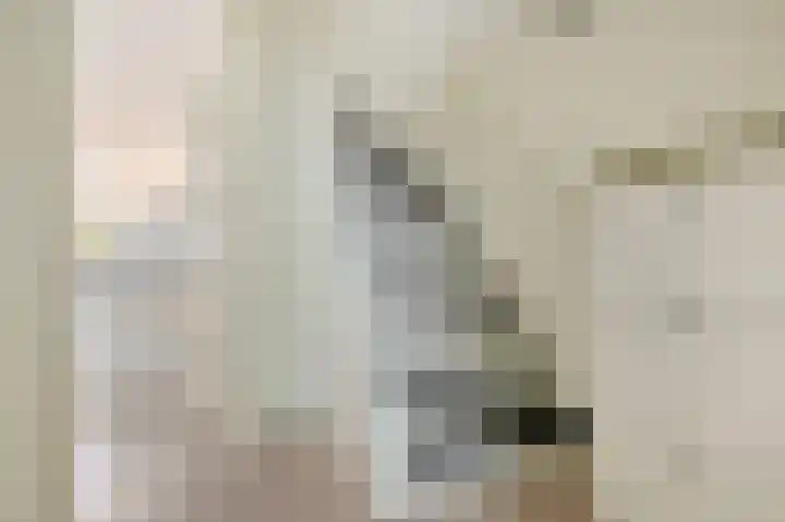 Hoornsehop 13 Huizen thumbnail 15