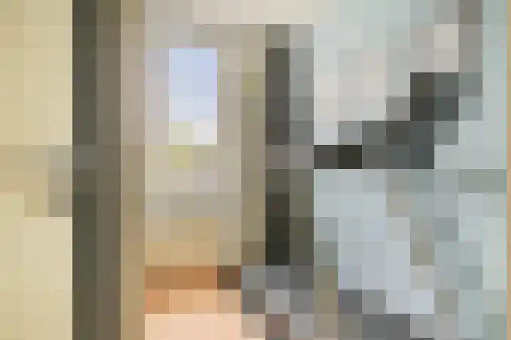 Hoornsehop 13 Huizen thumbnail 19