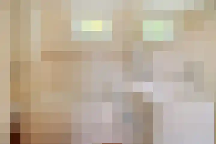 Hoornsehop 13 Huizen thumbnail 20