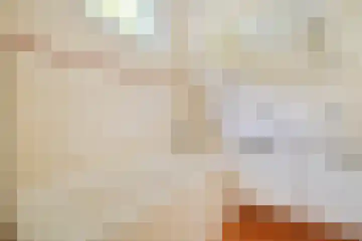 Hoornsehop 13 Huizen thumbnail 21
