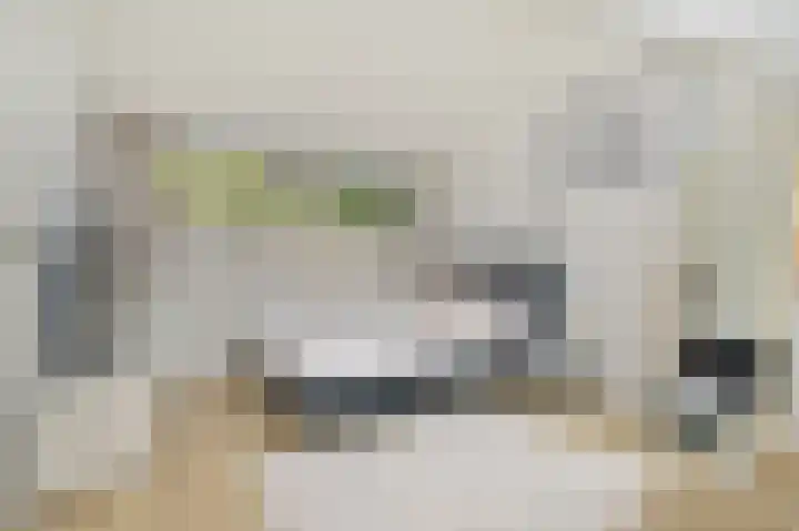 Hoornsehop 13 Huizen thumbnail 25