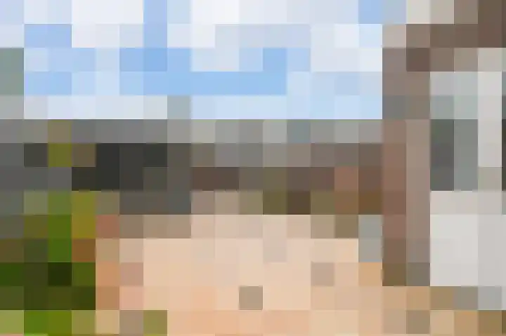 Hoornsehop 13 Huizen thumbnail 27
