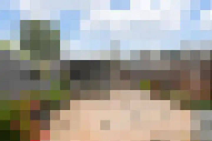 Hoornsehop 13 Huizen thumbnail 28