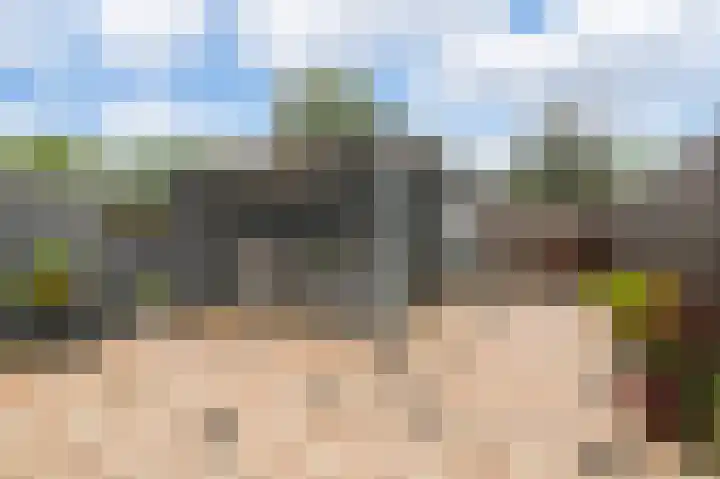 Hoornsehop 13 Huizen thumbnail 29
