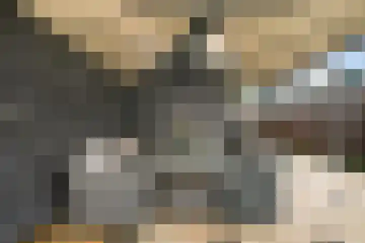 Hoornsehop 13 Huizen thumbnail 30