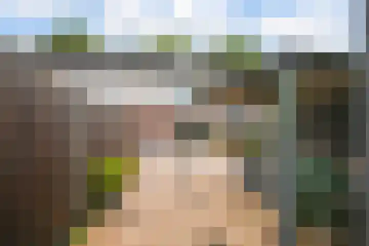 Hoornsehop 13 Huizen thumbnail 31