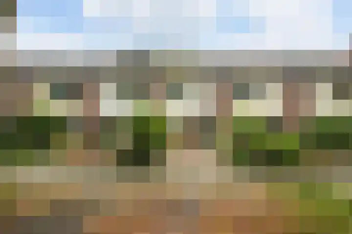 Hoornsehop 13 Huizen thumbnail 32