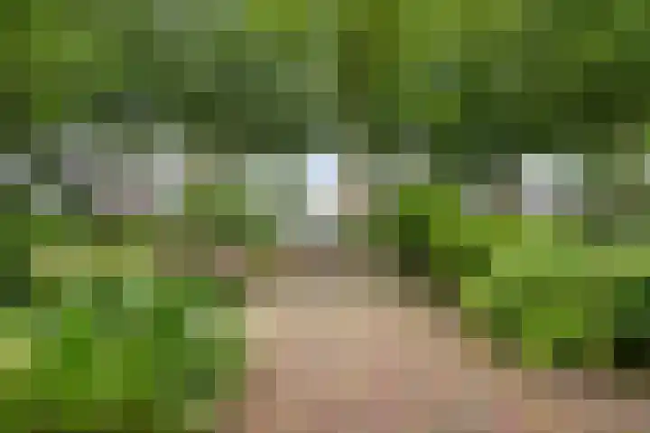 Hoornsehop 13 Huizen thumbnail 33