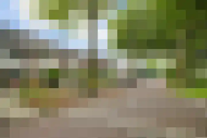 Hoornsehop 13 Huizen thumbnail 34