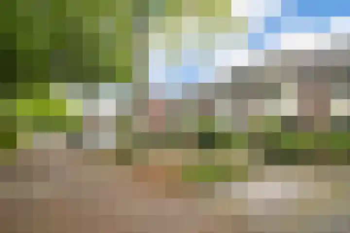 Hoornsehop 13 Huizen thumbnail 35