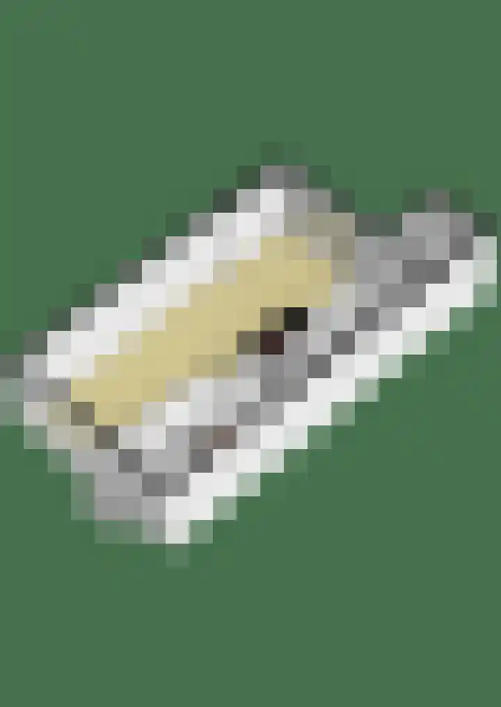 Hoornsehop 13 Huizen thumbnail 37