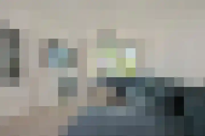 Hoornsehop 13 Huizen thumbnail 4