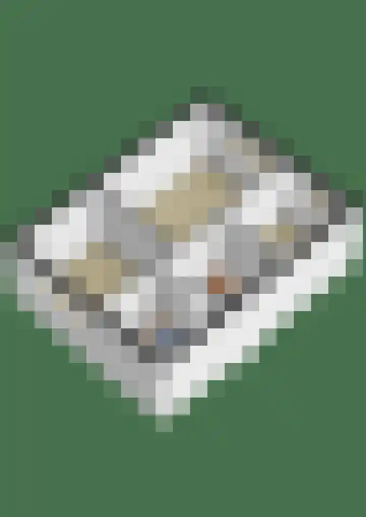 Hoornsehop 13 Huizen thumbnail 39