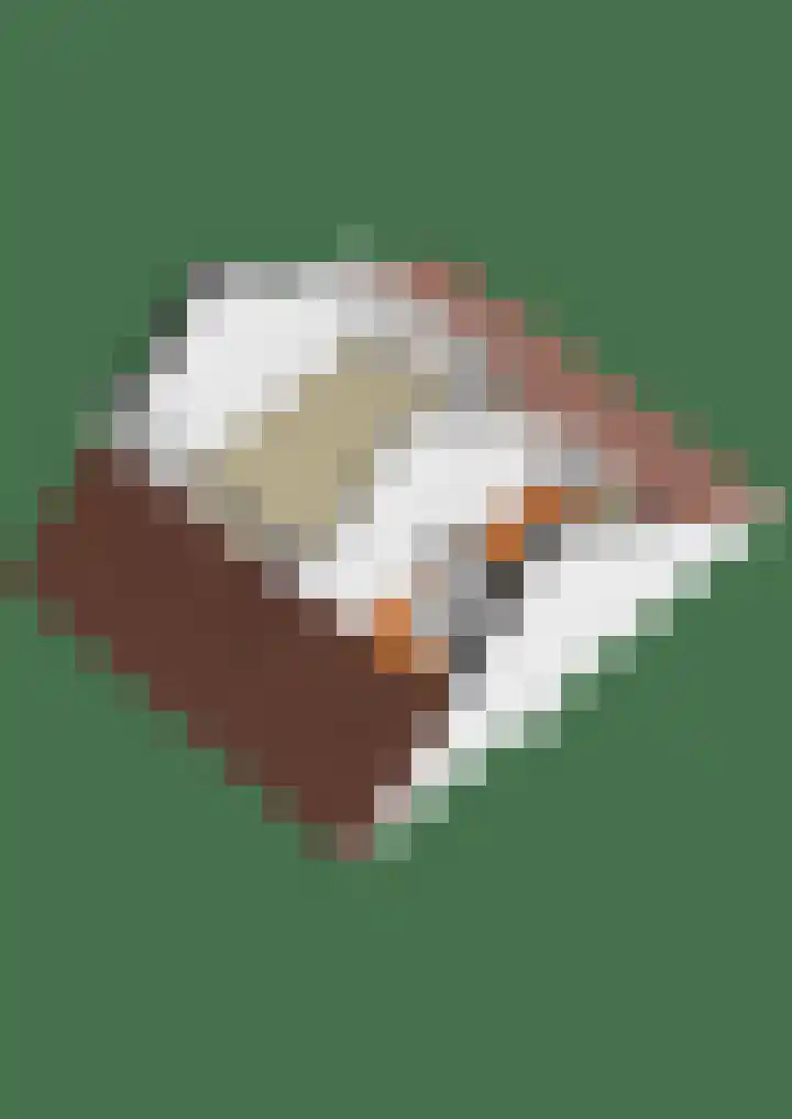 Hoornsehop 13 Huizen thumbnail 41