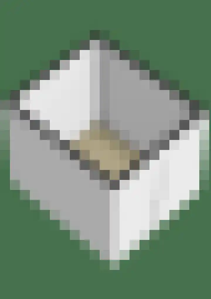 Hoornsehop 13 Huizen thumbnail 43