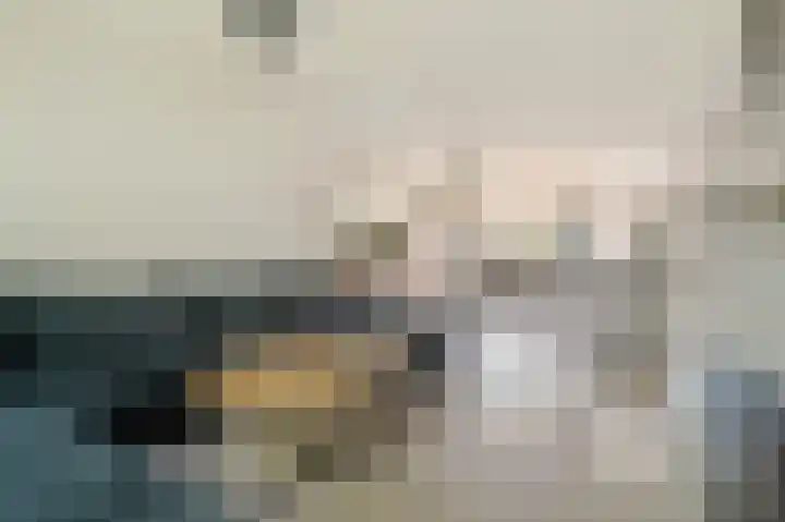 Hoornsehop 13 Huizen thumbnail 5