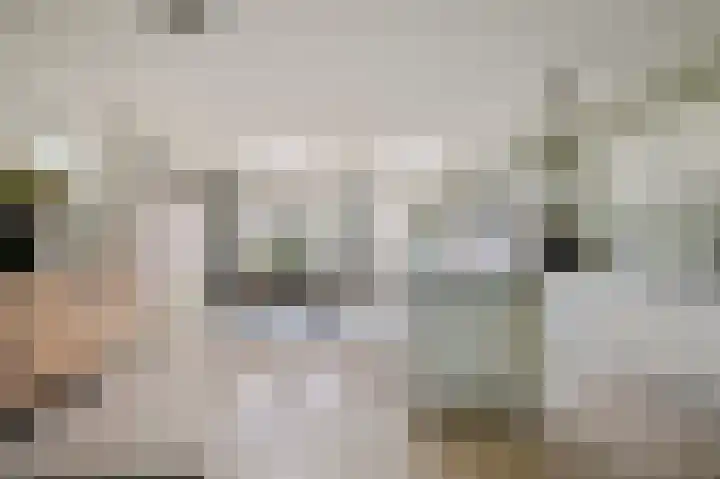 Hoornsehop 13 Huizen thumbnail 7