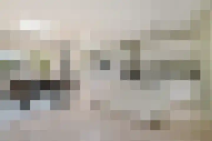 Hoornsehop 13 Huizen thumbnail 8